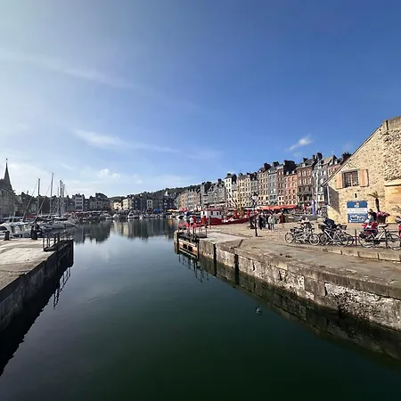 Nid D'amour Sous Les Toits ! * Honfleur