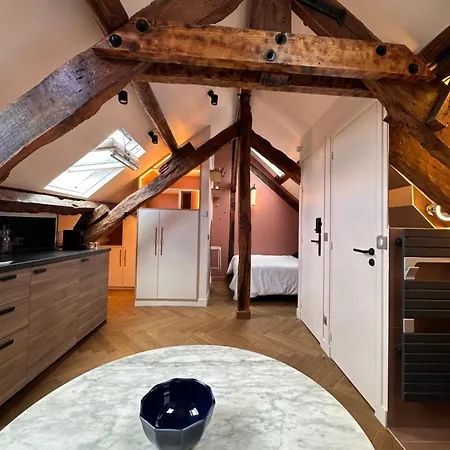 Apartment Nid D'amour Sous Les Toits !