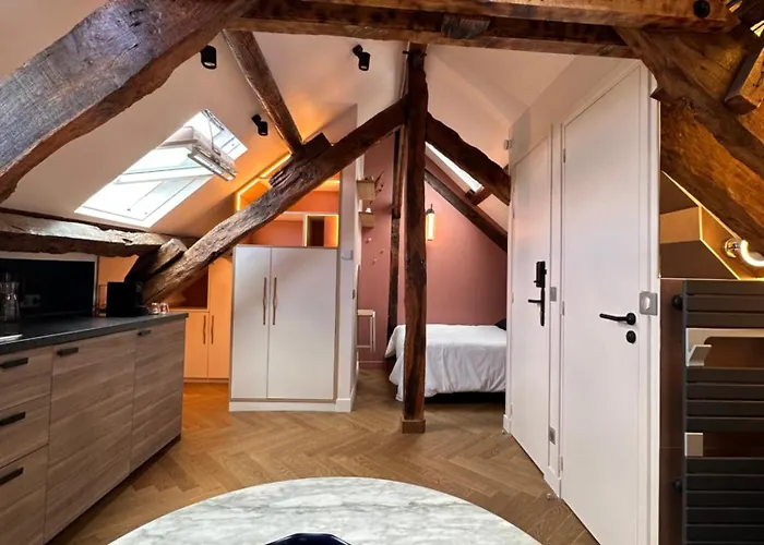 Apartment Nid D'amour Sous Les Toits !