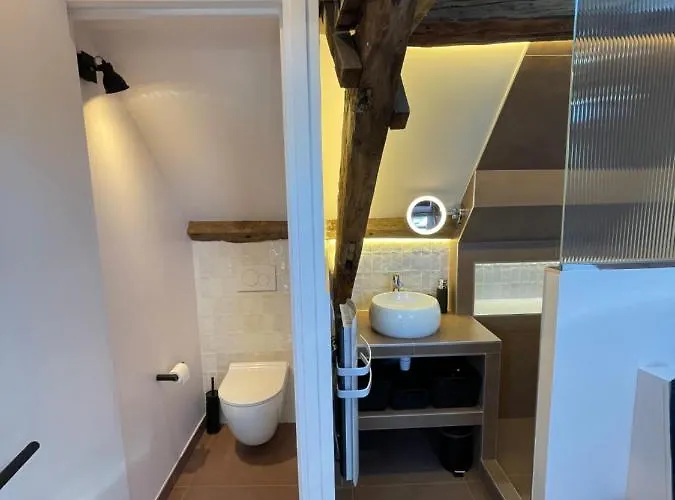 Nid D'amour Sous Les Toits ! Lejlighed *